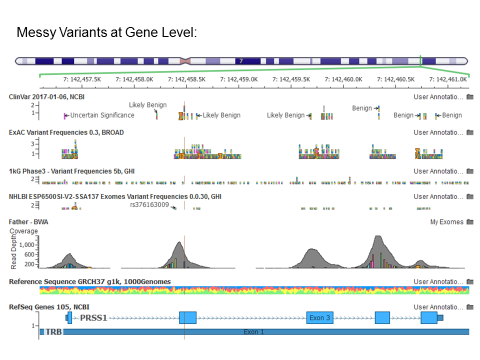 Messy variants at gene level