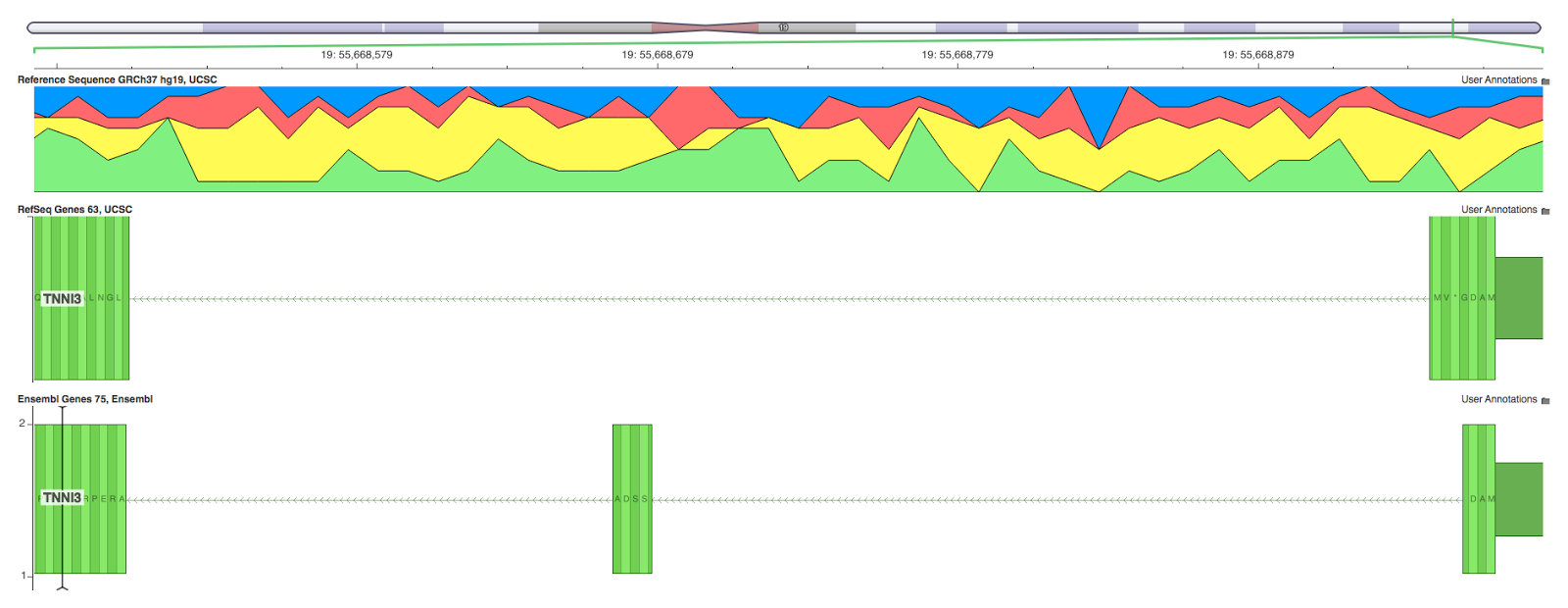 Genomebrowse viewer on TNNI3 transcript mapping