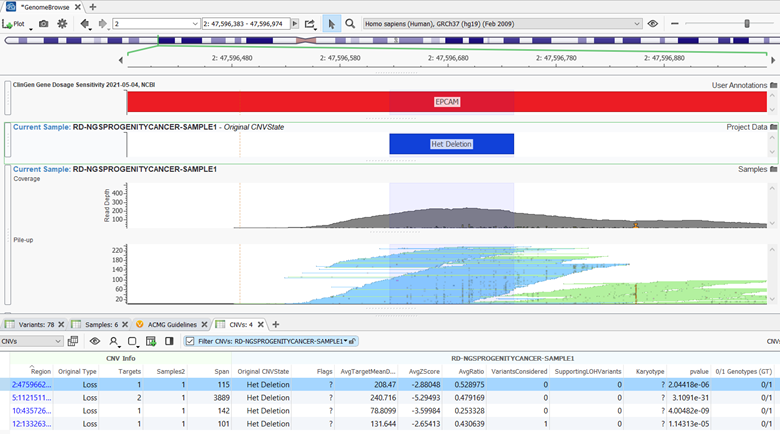VSPipeline produces a project with externally called CNVs for SAMPLE1.