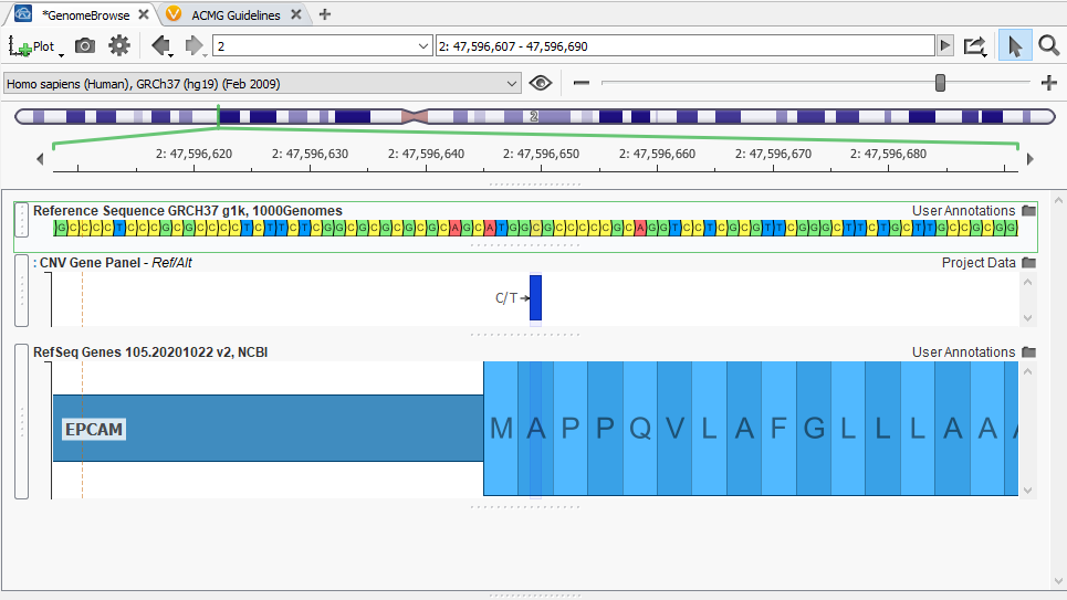 Figure 1: Basic view of GenomeBrowse