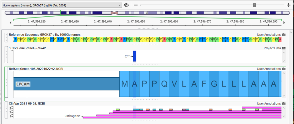 Figure 2: Addition of ClinVar into the GenomeBrowse window