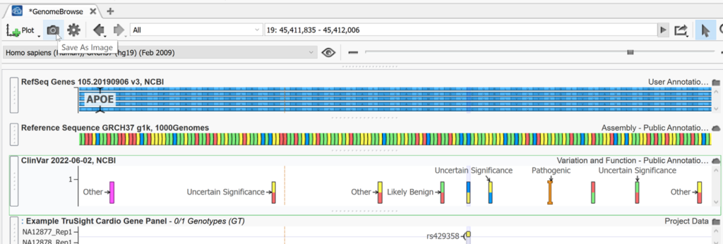 Figure 11. Exporting genomic visualizations as images.