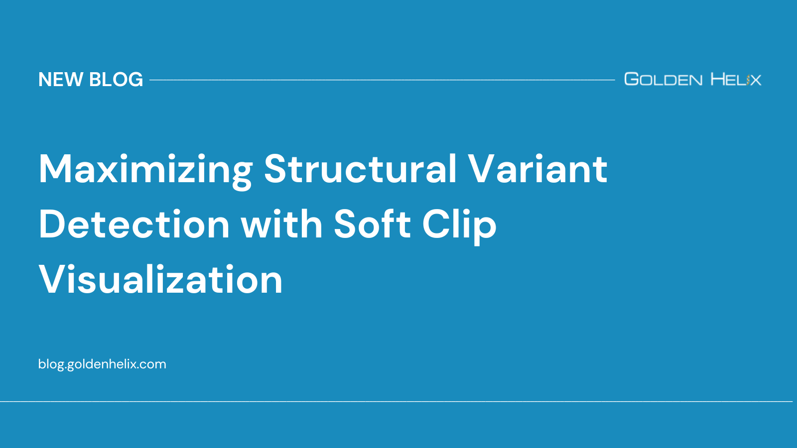 Maximizing Structural Variant Detection with Soft Clip Visualization