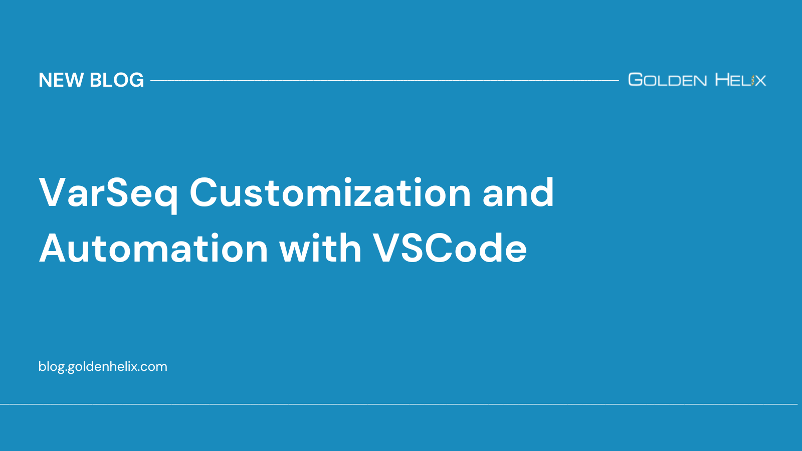 VarSeq Customization and Automation with VSCode