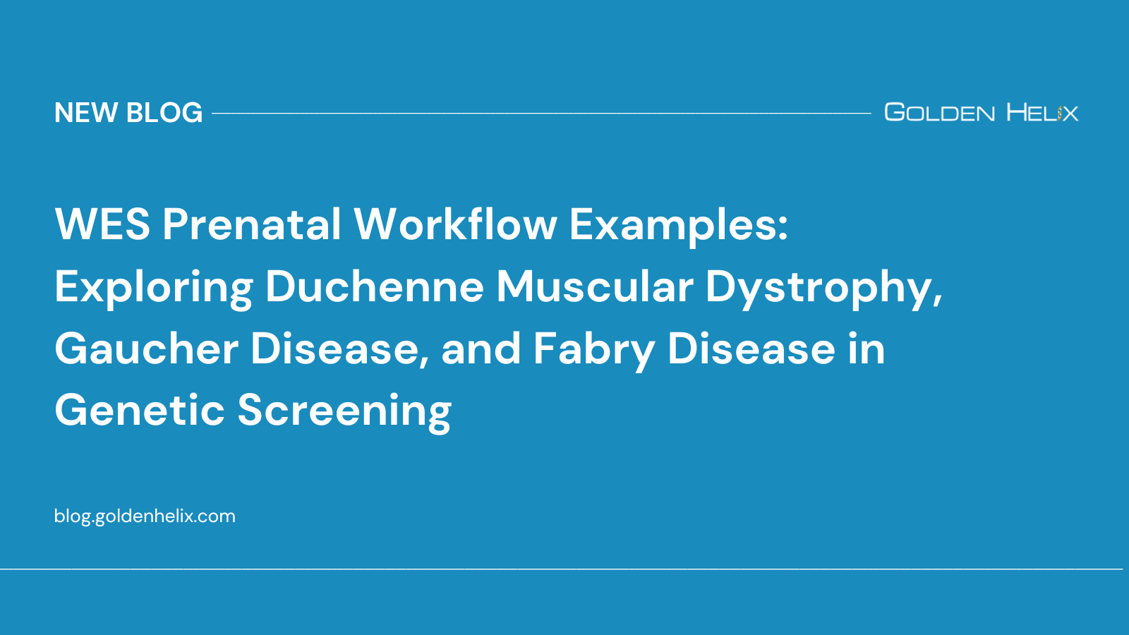 WES Prenatal Workflow Examples: Exploring Duchenne Muscular Dystrophy, Gaucher Disease, and Fabry Disease in Genetic Screening